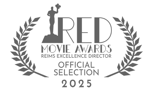 Нагорода за найкращий соціальний відеопроєкт на міжнародному фестивалі