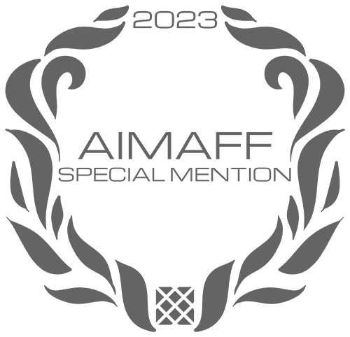 Нагорода за найкращий соціальний відеопроєкт на міжнародному фестивалі