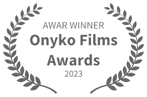 Нагорода за найкращий соціальний відеопроєкт на міжнародному фестивалі