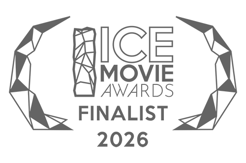 Нагорода за найкращий соціальний відеопроєкт на міжнародному фестивалі